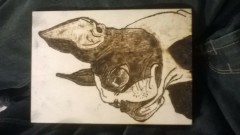 52B292CE-B52B-401A-A299-E34E3FBE5C23