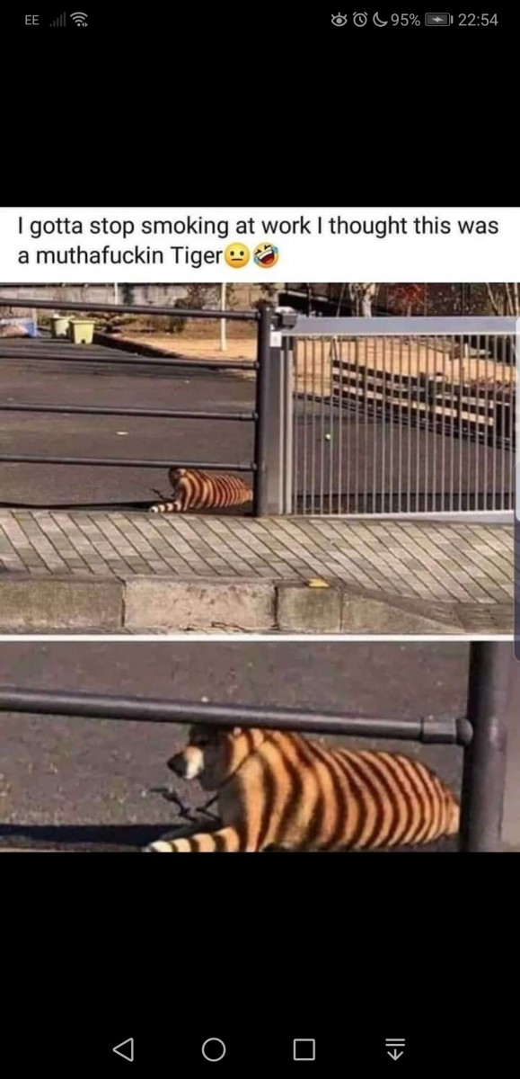 Screenshot_20190731_225428_com.facebook.katana