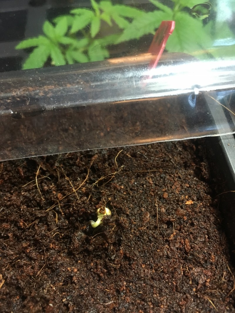 98EB67FB-E8EF-4819-AD1F-50B559B18BFF