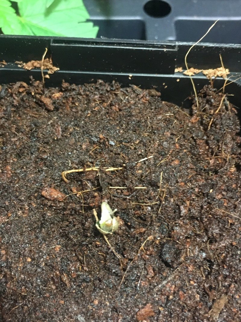 ABCB66B1-74D2-4BDA-A87A-00ECDBA09FAF