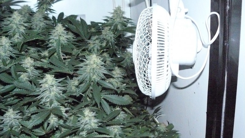 frontroom and drobes 11 04 23 014