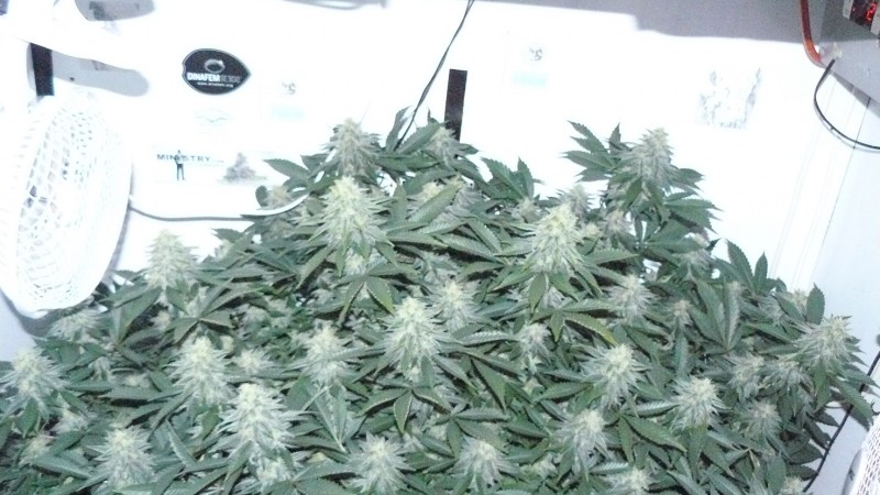 frontroom and drobes 11 04 23 026