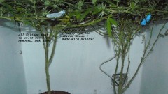 frontroom and drobes 11 04 23 038