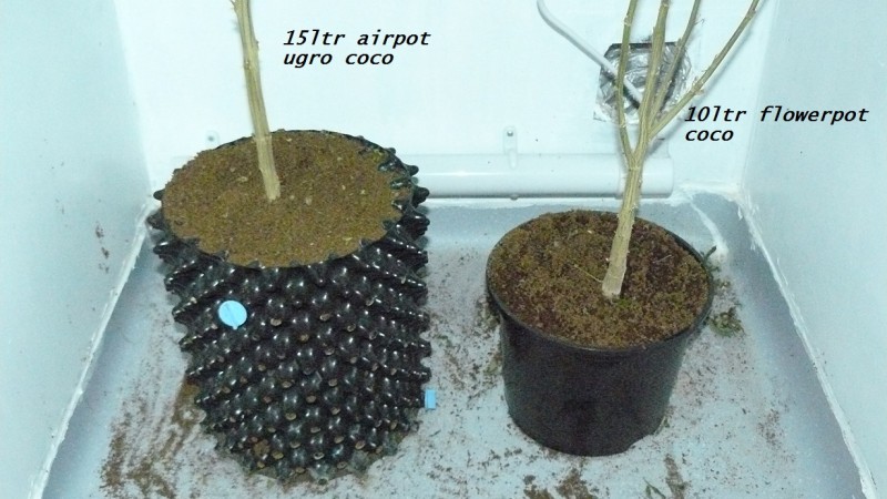 frontroom and drobes 11 04 23 039