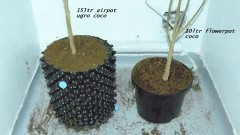 frontroom and drobes 11 04 23 039