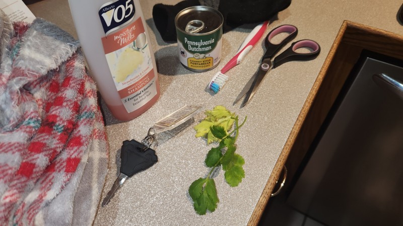 16815208369687700257023395626134