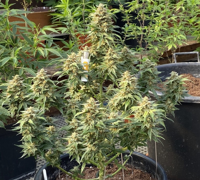 C4A6572A-CC33-448D-9A04-2425C5025C20