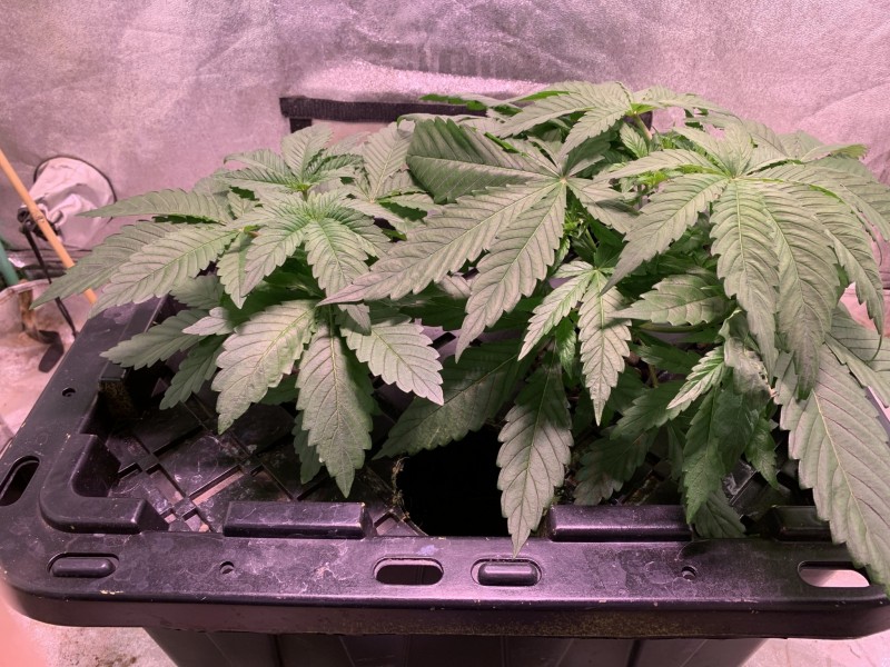 B1EABD10-3877-4C85-9E55-4FF5543A7B0A