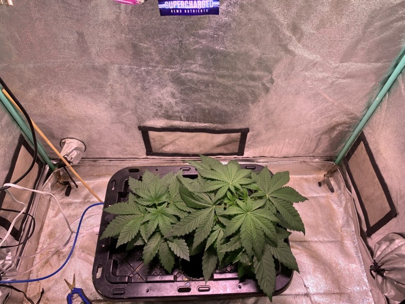 836D1E52-6B55-4B6F-8740-4DAFFB83AEE7