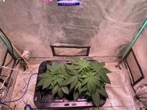 836D1E52-6B55-4B6F-8740-4DAFFB83AEE7