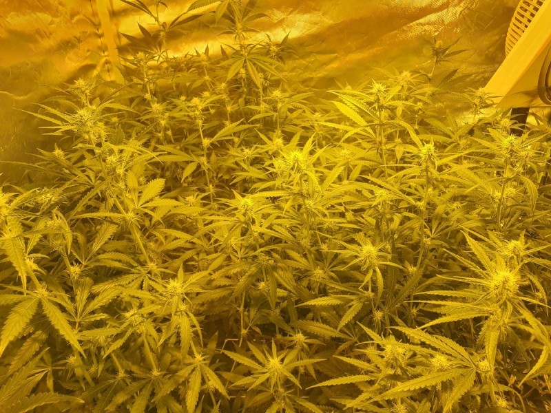 15648222864156872778554314517834