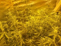 15648222864156872778554314517834