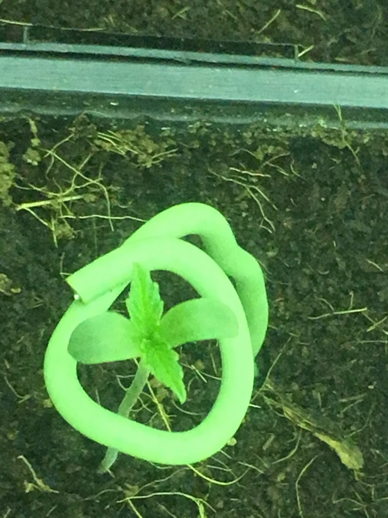 3A786621-7FD9-4F26-BBA6-596C7124A68B