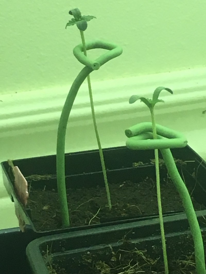 D68EF1E6-ECF2-48C4-96BC-C82A7ACE4C3B