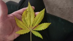 16817632590734989814748147043230