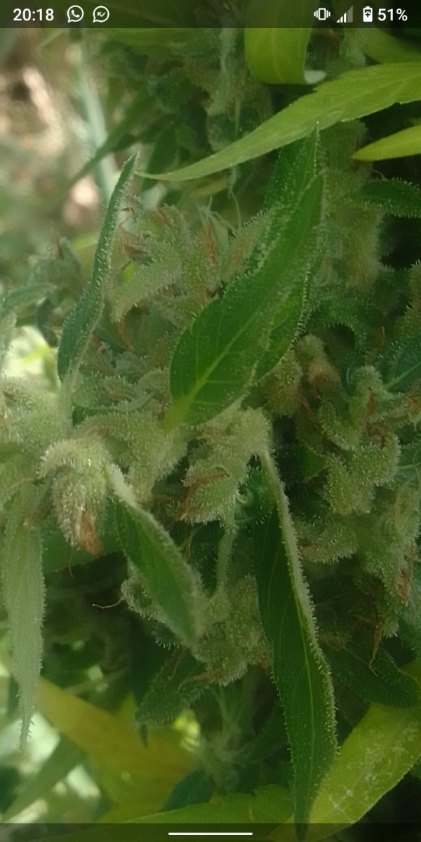 Screenshot_20230417-201847