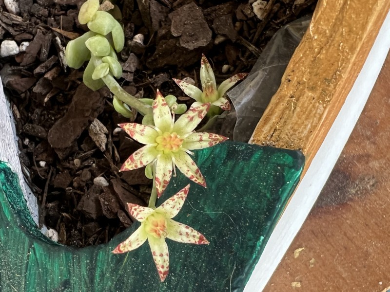 7D911FE5-EB2F-418C-8284-12B35E5CB863