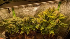 PXL_20230418_182731117