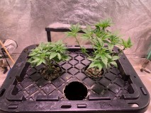 C4155411-5CAE-4A13-B198-1DDDF7F80C90