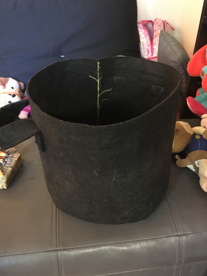 F1F5AE93-A1CB-4A98-BF88-0F58F5F6240D