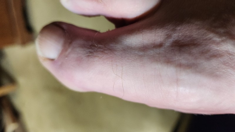 16819441233893623996269939611377