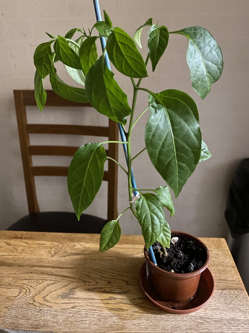 51A4C9AE-9D08-4B58-B7F8-C95CEB3D2135