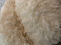 B151ED2D-073A-44D3-9A11-4574FDF252B3