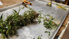 16822071014313667641614179898392