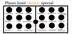 phenohuntORANGElayout