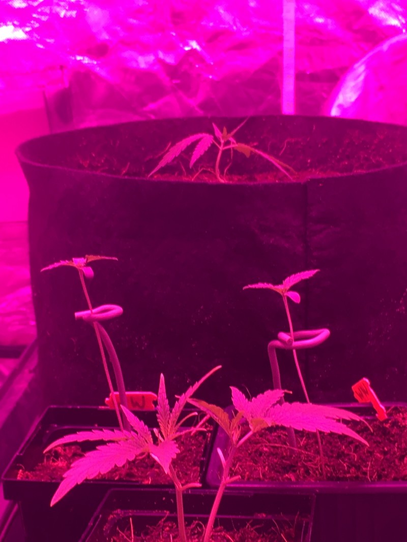 F1430185-ED0C-4786-B143-80B72520F067