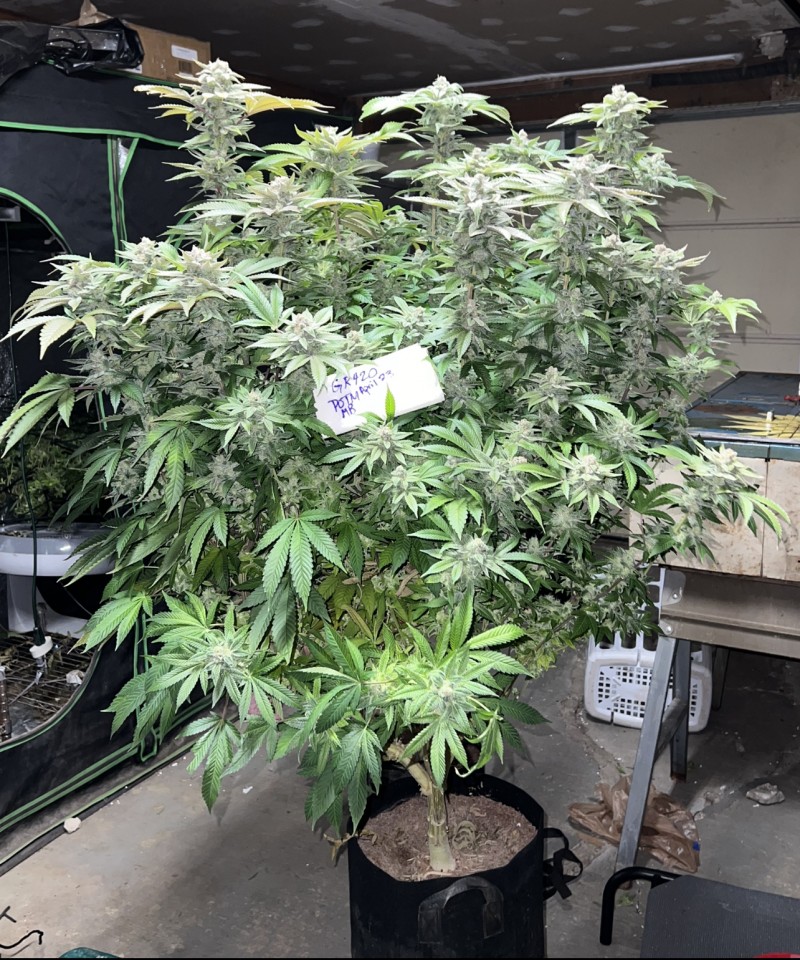 E68EC0A5-66D5-448B-98D6-F12C7F3AE9E0