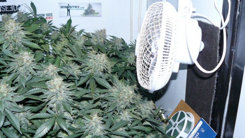 drobes nearly there! 004