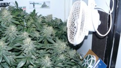 drobes nearly there! 004