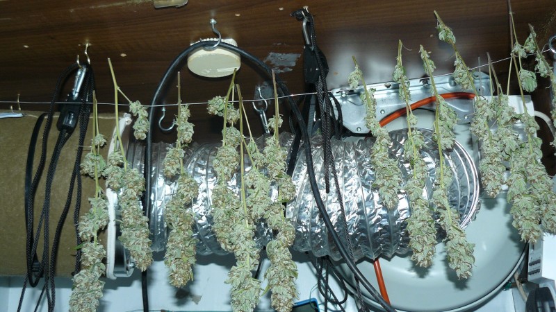 drobes nearly there! 006