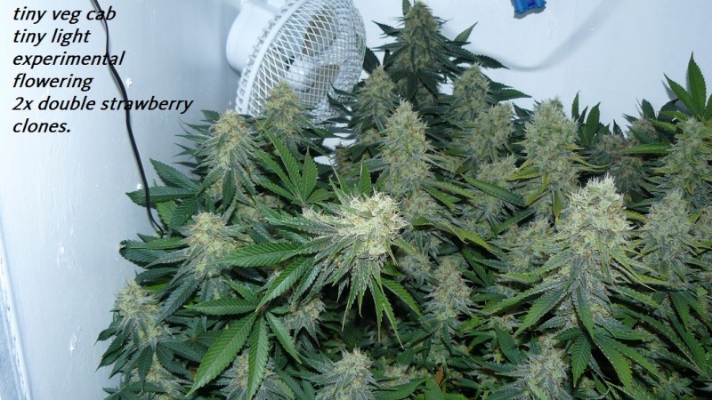 drobes nearly there! 017