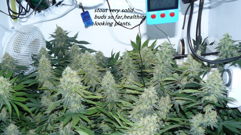 drobes nearly there! 018