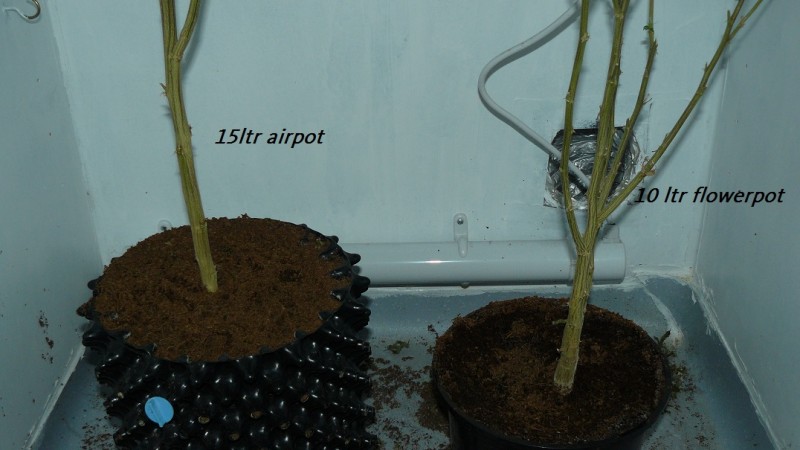 drobes nearly there! 030