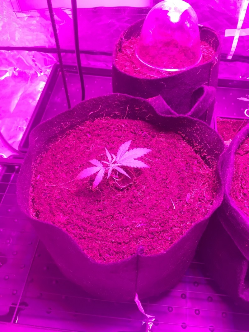 9E1964BF-46B4-4287-A9BA-0B85C9B38183