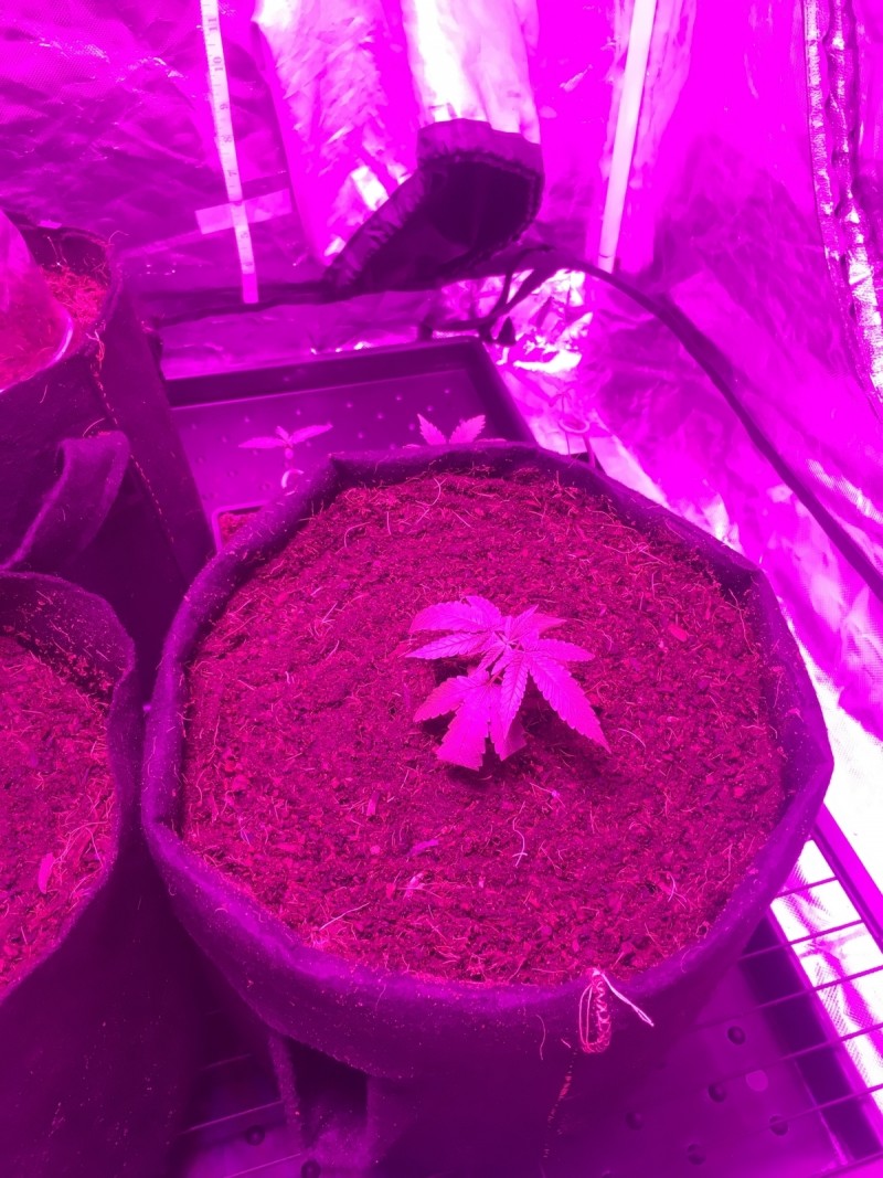 7C9B6F36-16D7-4B44-AF12-8089A2D7B2D2