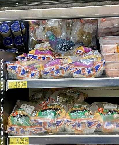 8af1ac34455ba2daa9a5fde8e54d5db32d4ca876_2_412x500