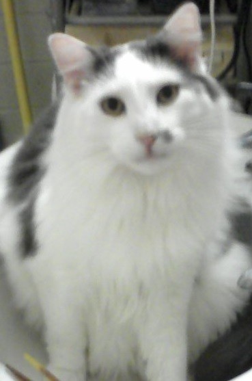 0818080029a111111111111111