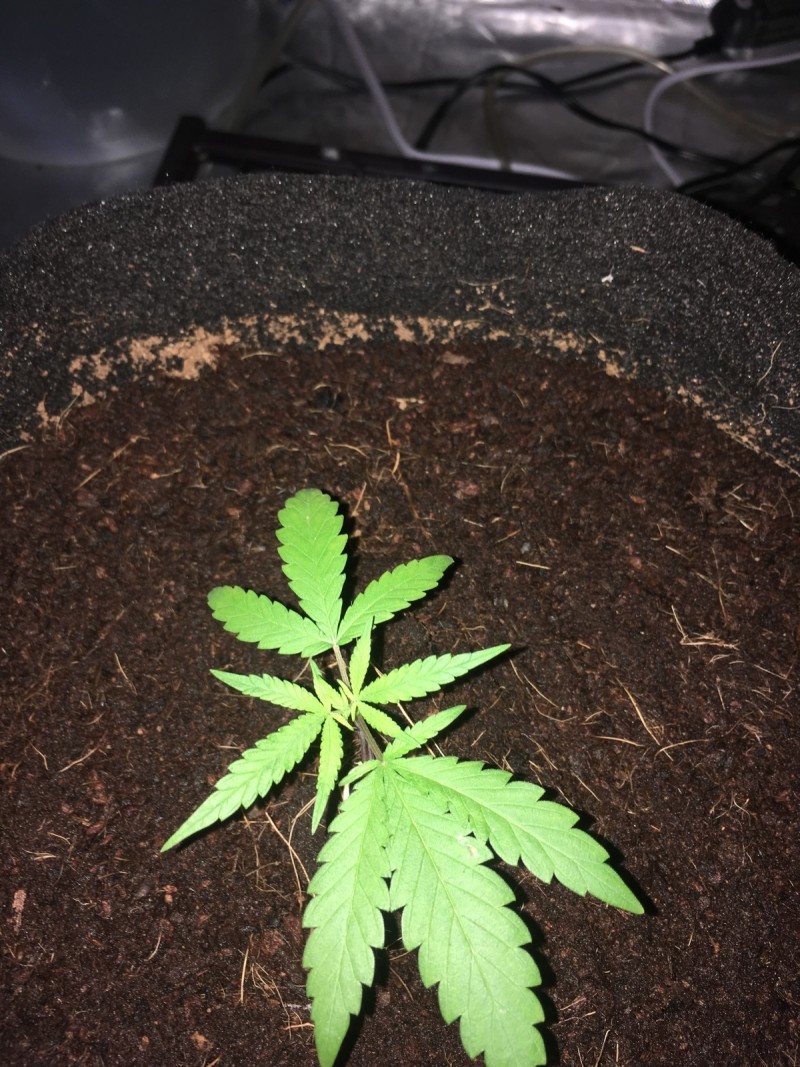 72494AE1-CEEF-484A-90F6-FC1EE60216F2