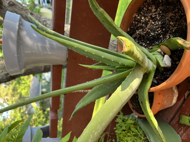 D7253035-9540-4D98-8F3A-C7FC8FD2D234