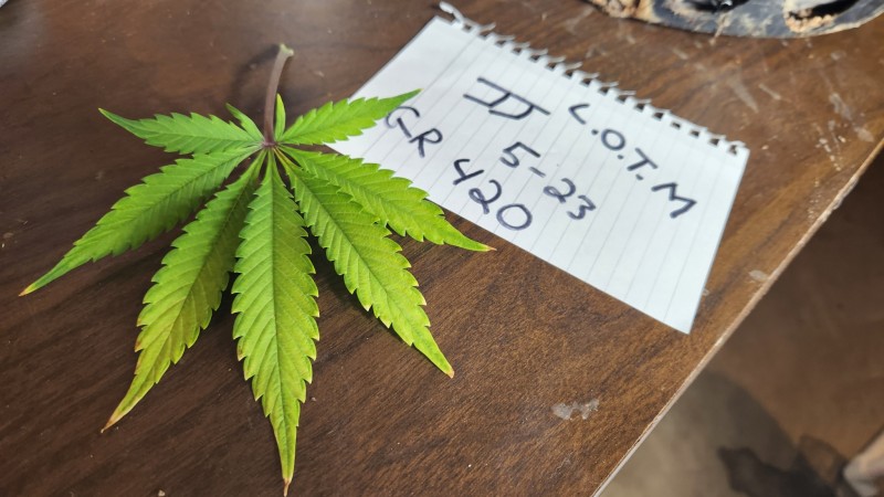 16829898763472400477561110743160