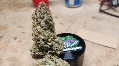 16830715411968816689625489984045