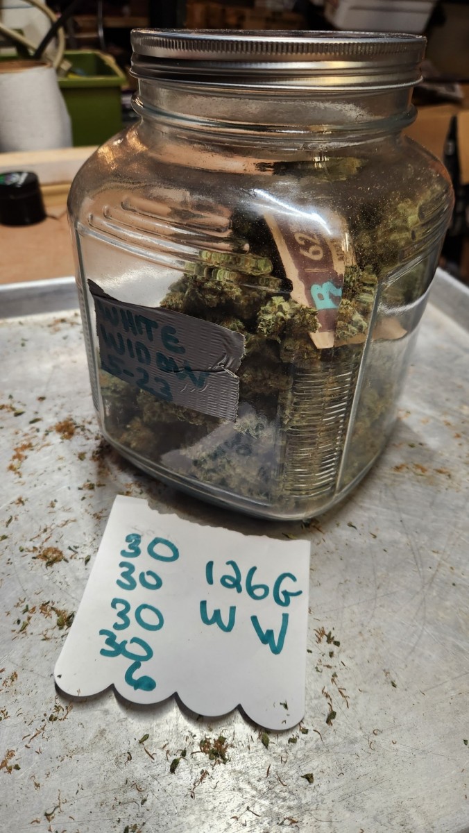 16830748284243110337919258599246