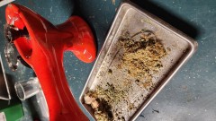 16831452846496953990136519353242