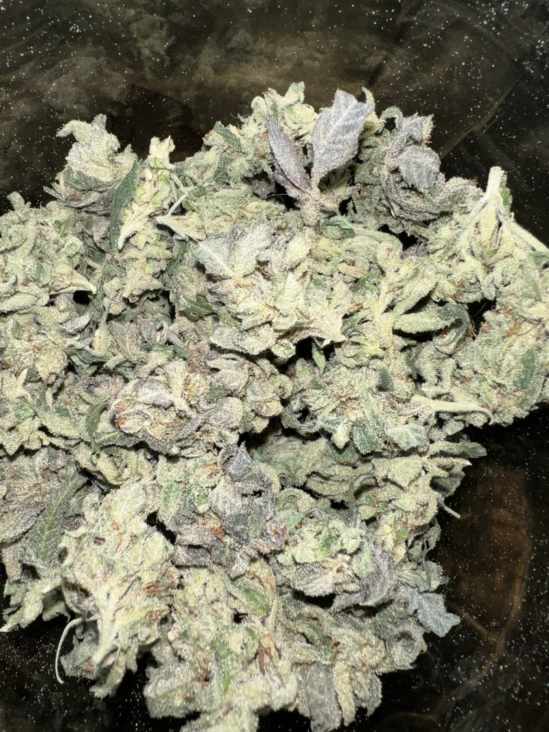 57036315-F4B9-4E31-87B6-DB0BBB927A31