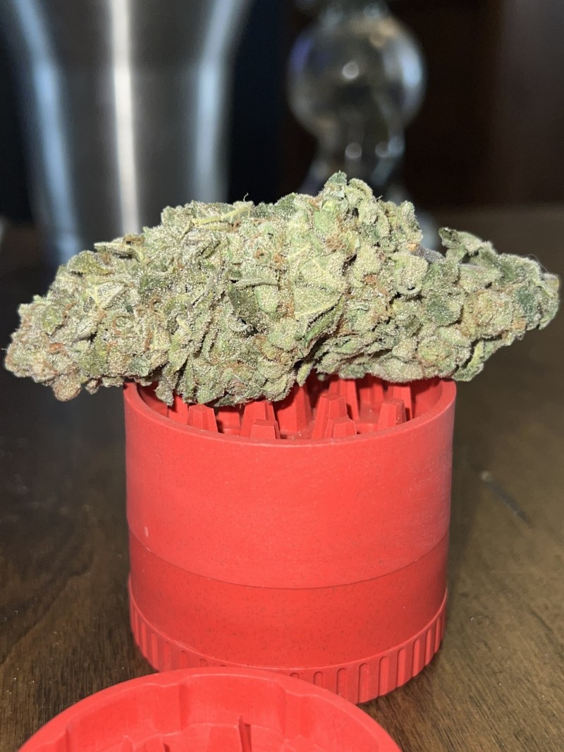 E9ED11CC-9331-41D6-ACC2-9EA4B49BC3C1