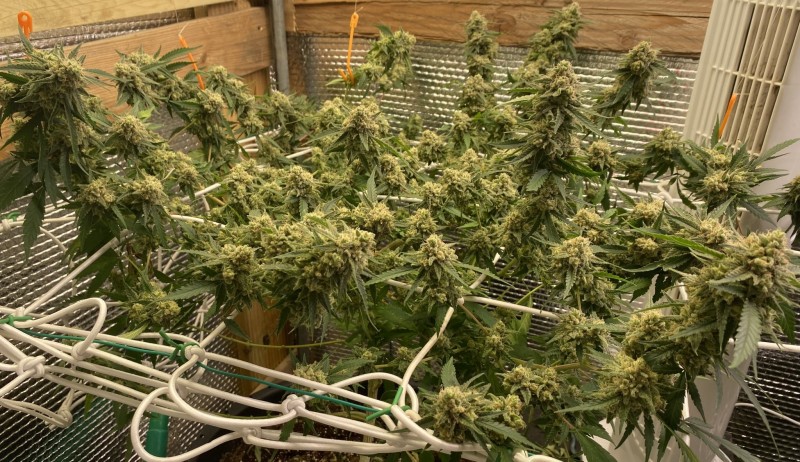 61788C2F-F038-445D-8491-1DF899629AE3